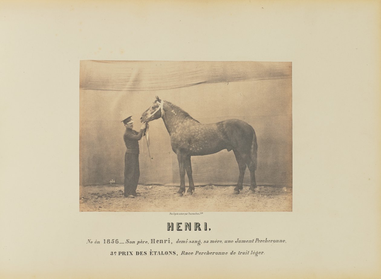 Henri door Adrien Alban Tournachon