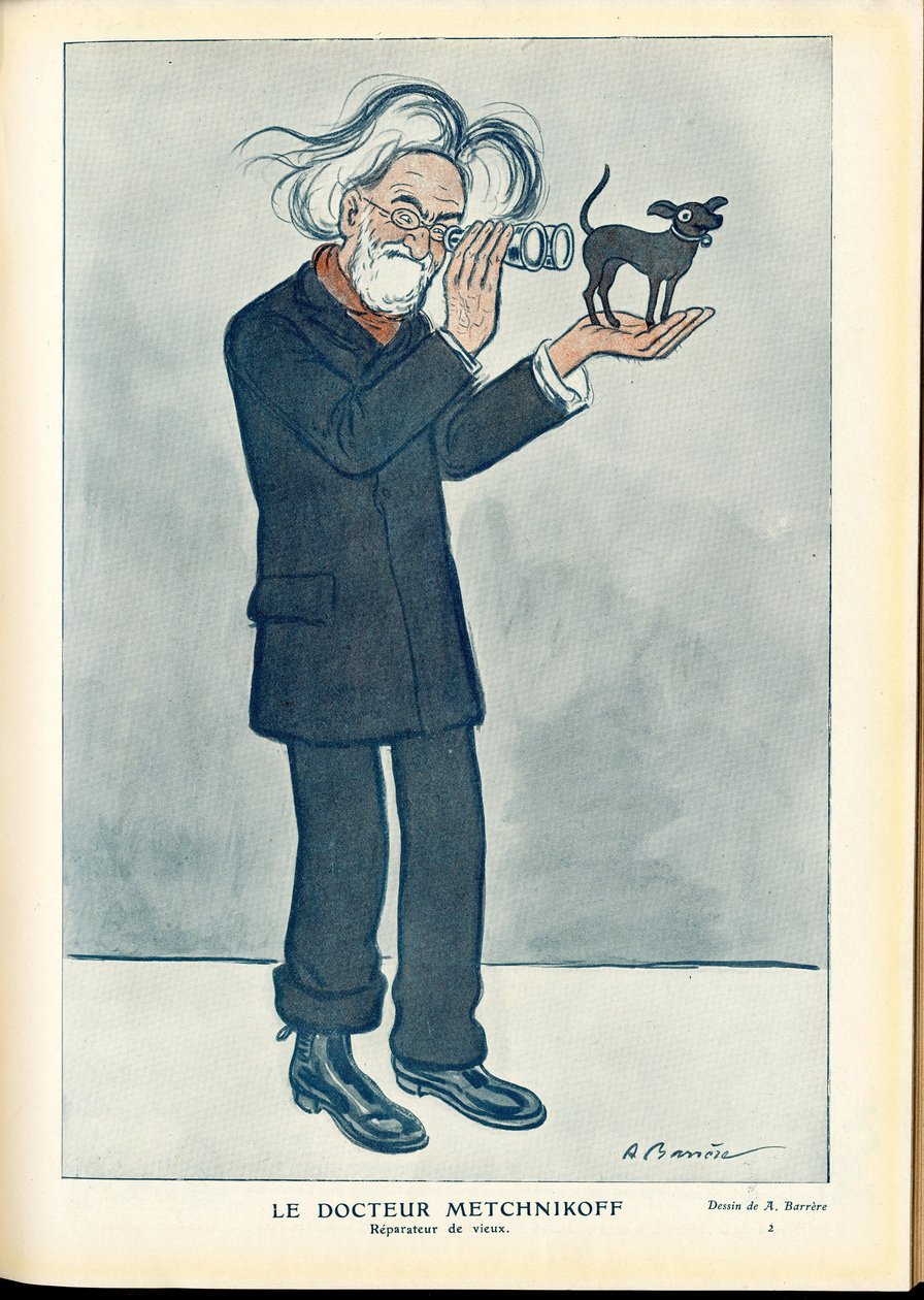Fantasio door Adrien Barrere
