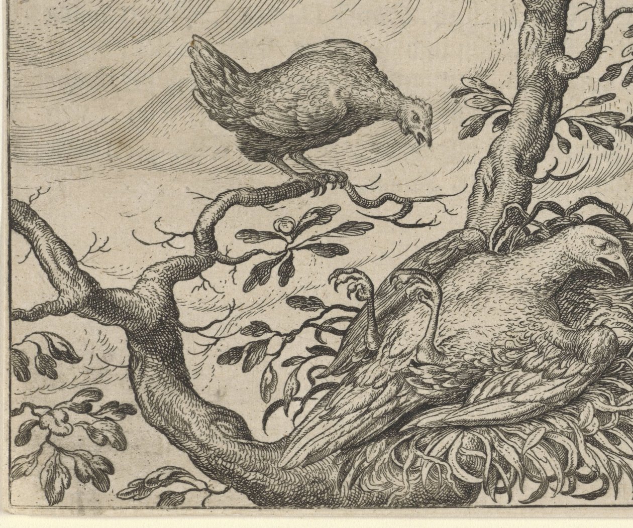 Fabel van de zieke gier door Egidius  Sadeler (II)