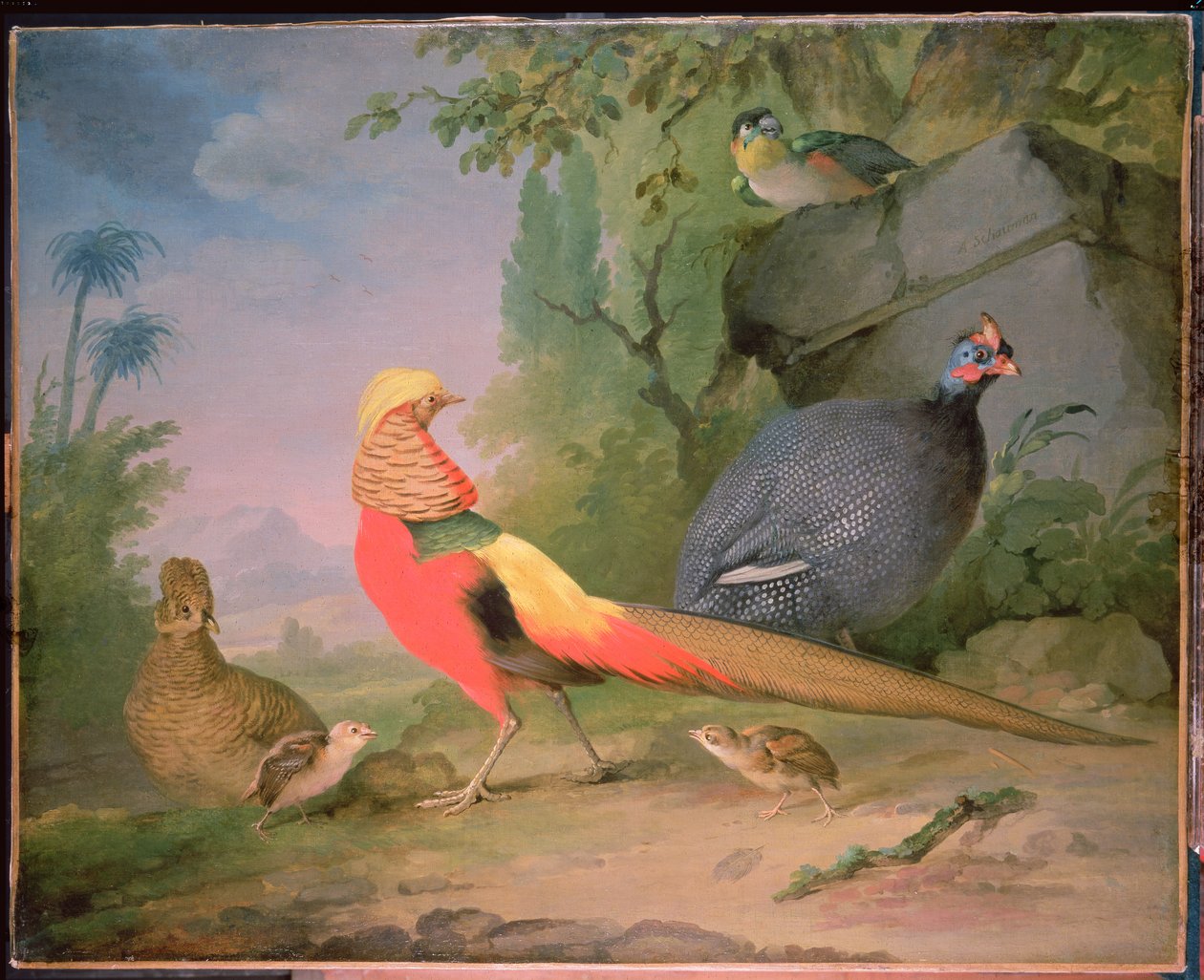 Watervogels door Aert Schouman