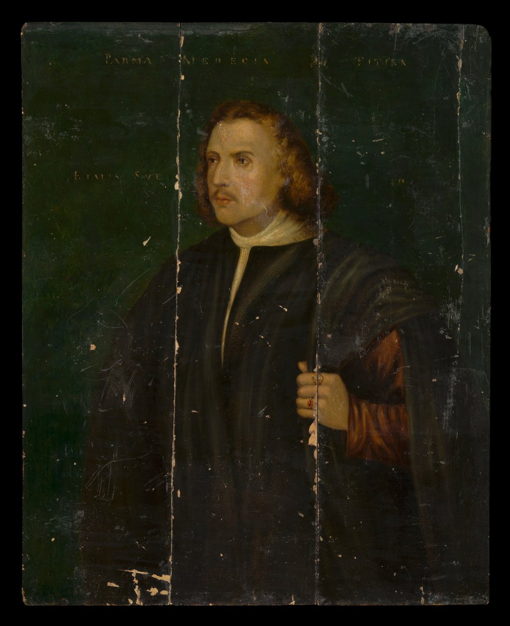 Dr. Parma door after Titian