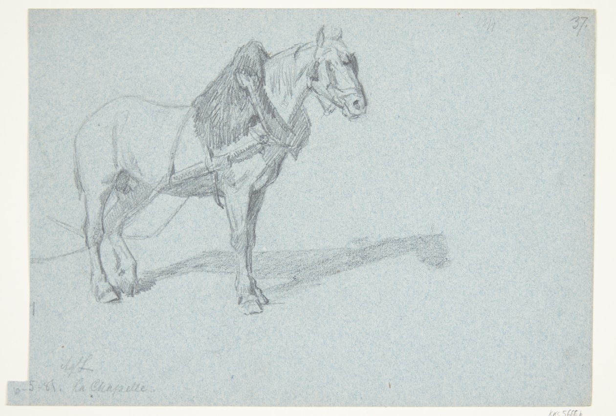 Een paard door Agnes Lunn