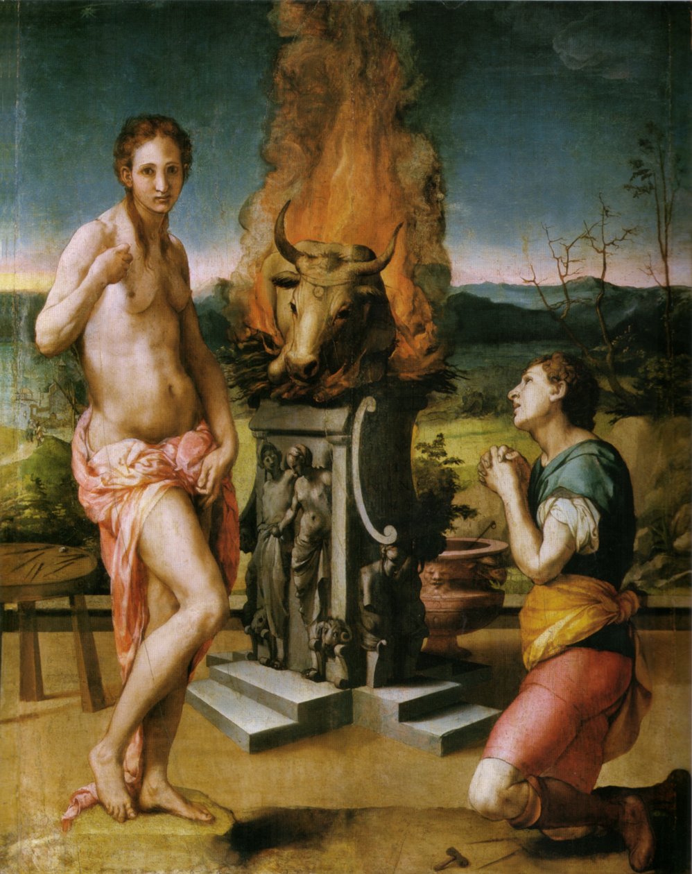 Pygmalion en Galathea door Agnolo Bronzino