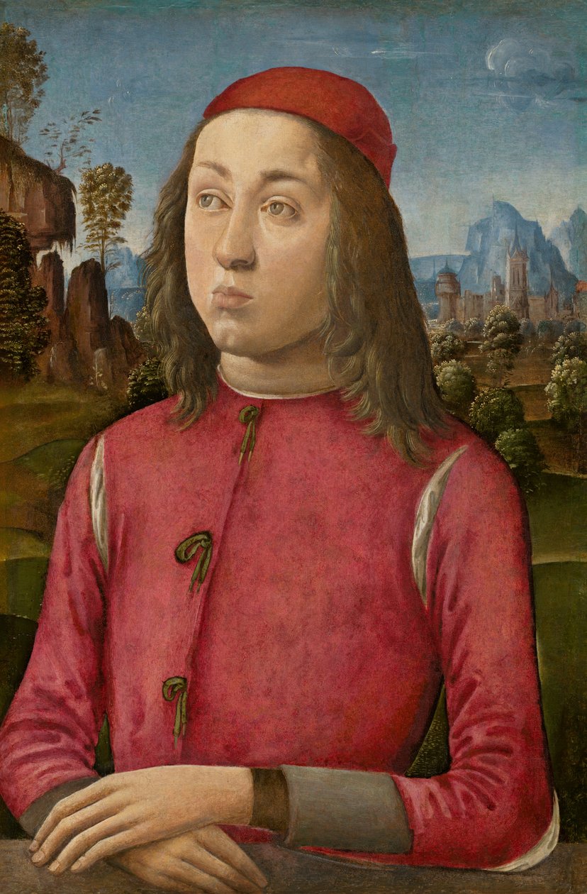 Portret van een jongeling door Agnolo di Domenico