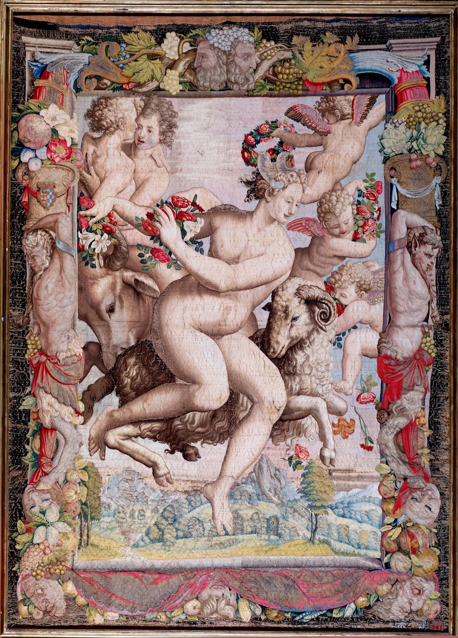 Flora door Agnolo Bronzino