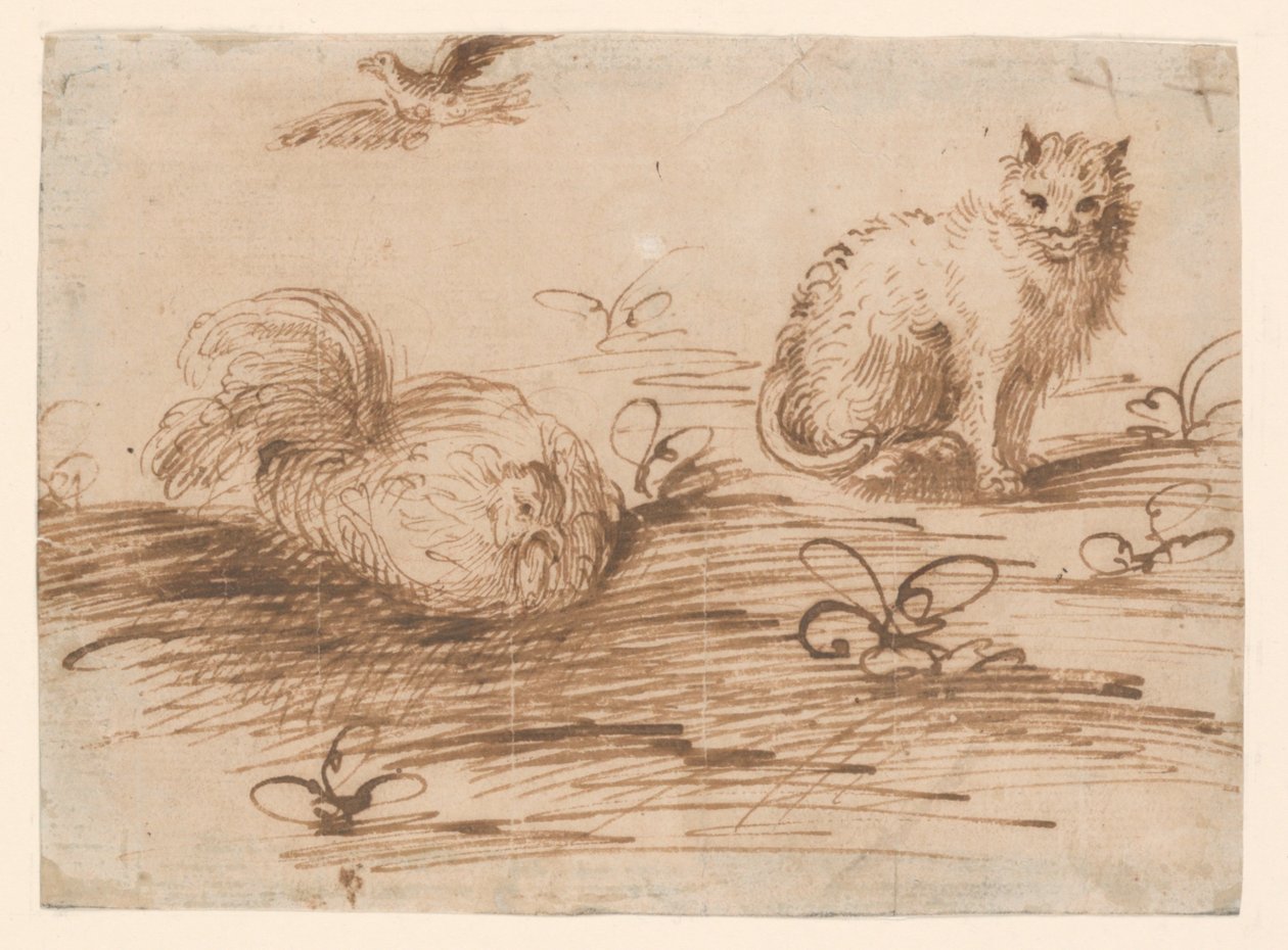 Een kat en een zittende hen door Agostino Carracci