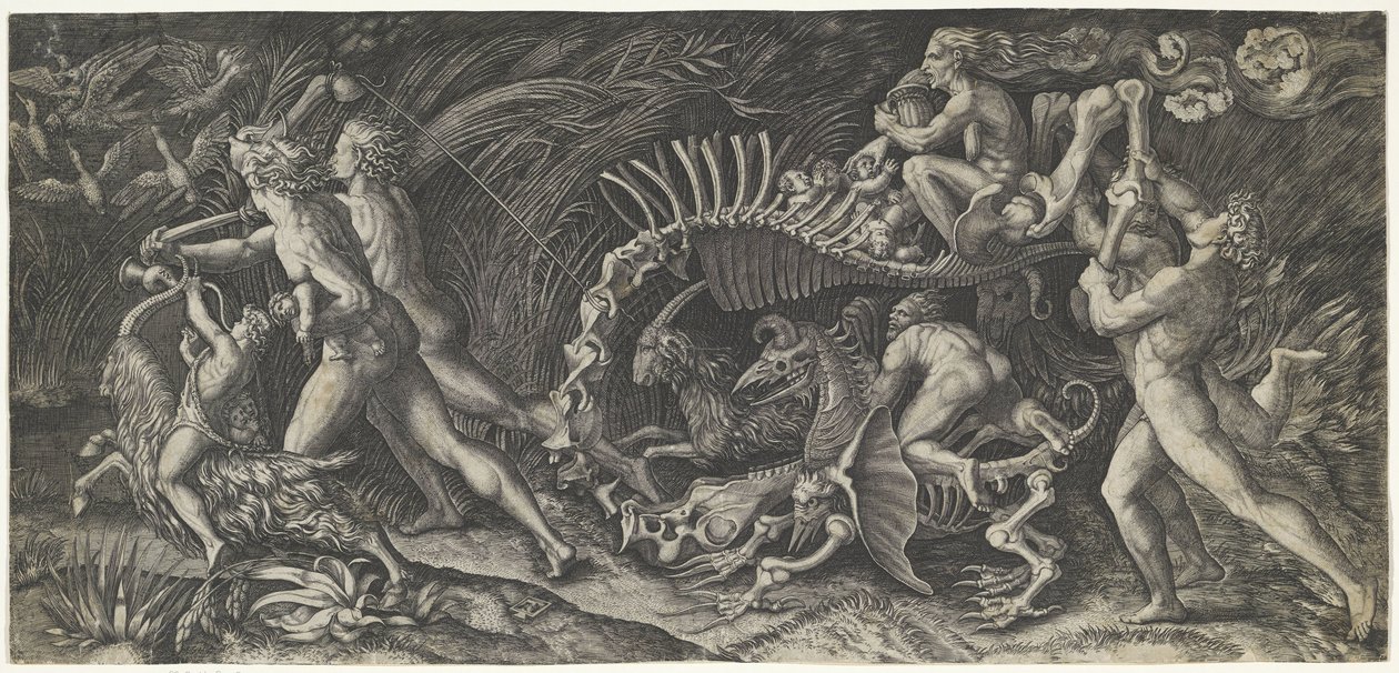Het karkas door Agostino Veneziano