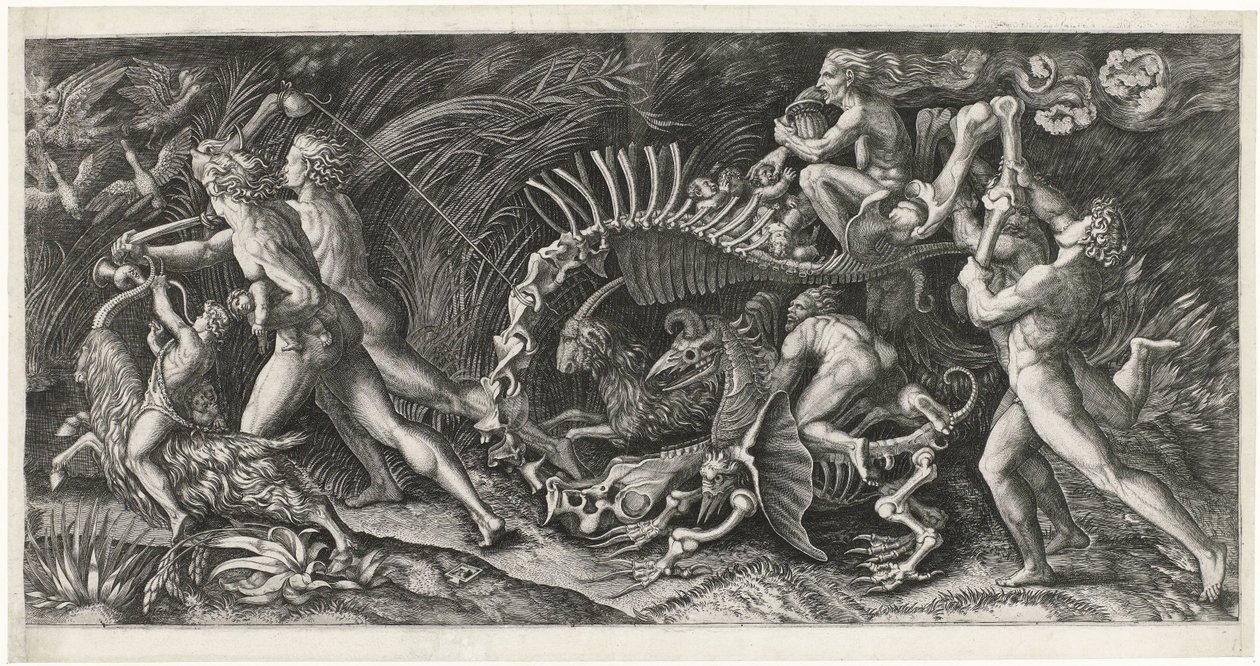 Het karkas door Agostino Veneziano
