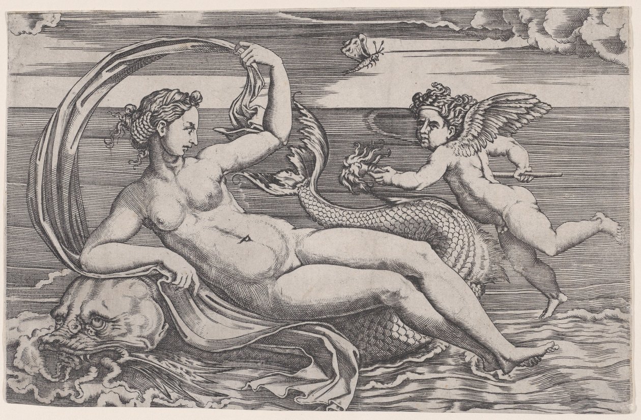 Venus Liggend op een Dolfijn door Agostino Veneziano