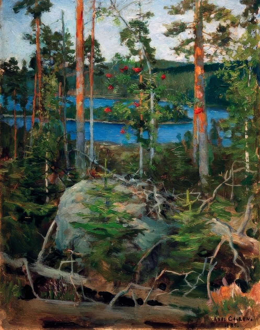 Landschap bij het Jamajärvimeer door Akseli Valdemar Gallen Kallela