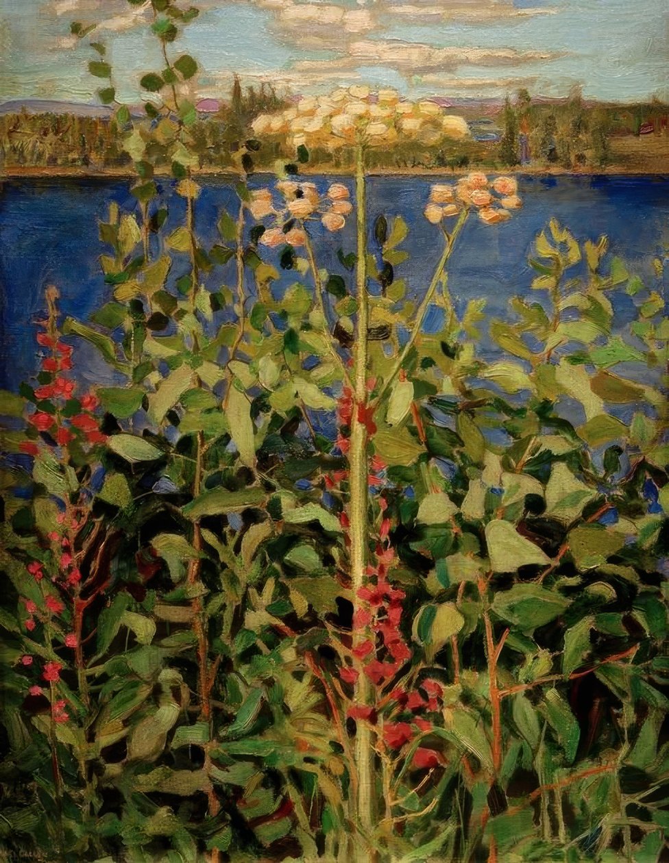 Wilde Angelica door Akseli Valdemar Gallen Kallela