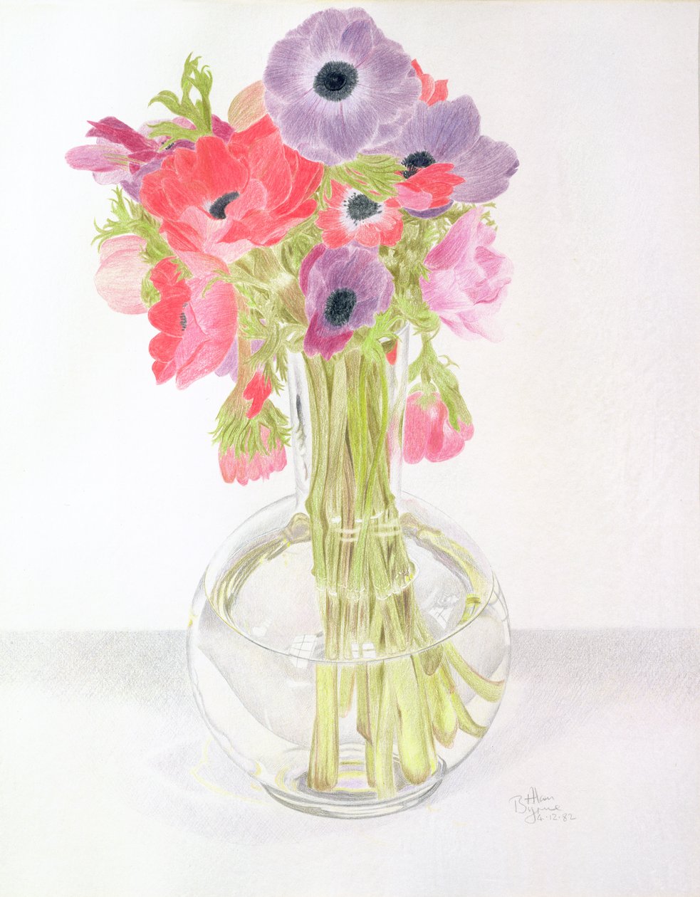 Anemonen door Alan Byrne