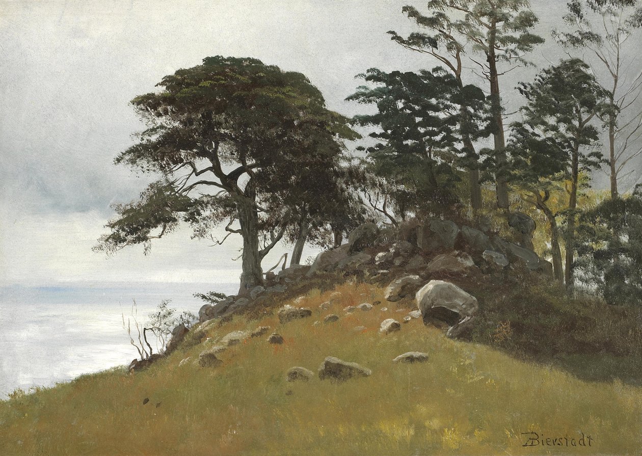 Cypress Point, Monterey door Albert Bierstadt