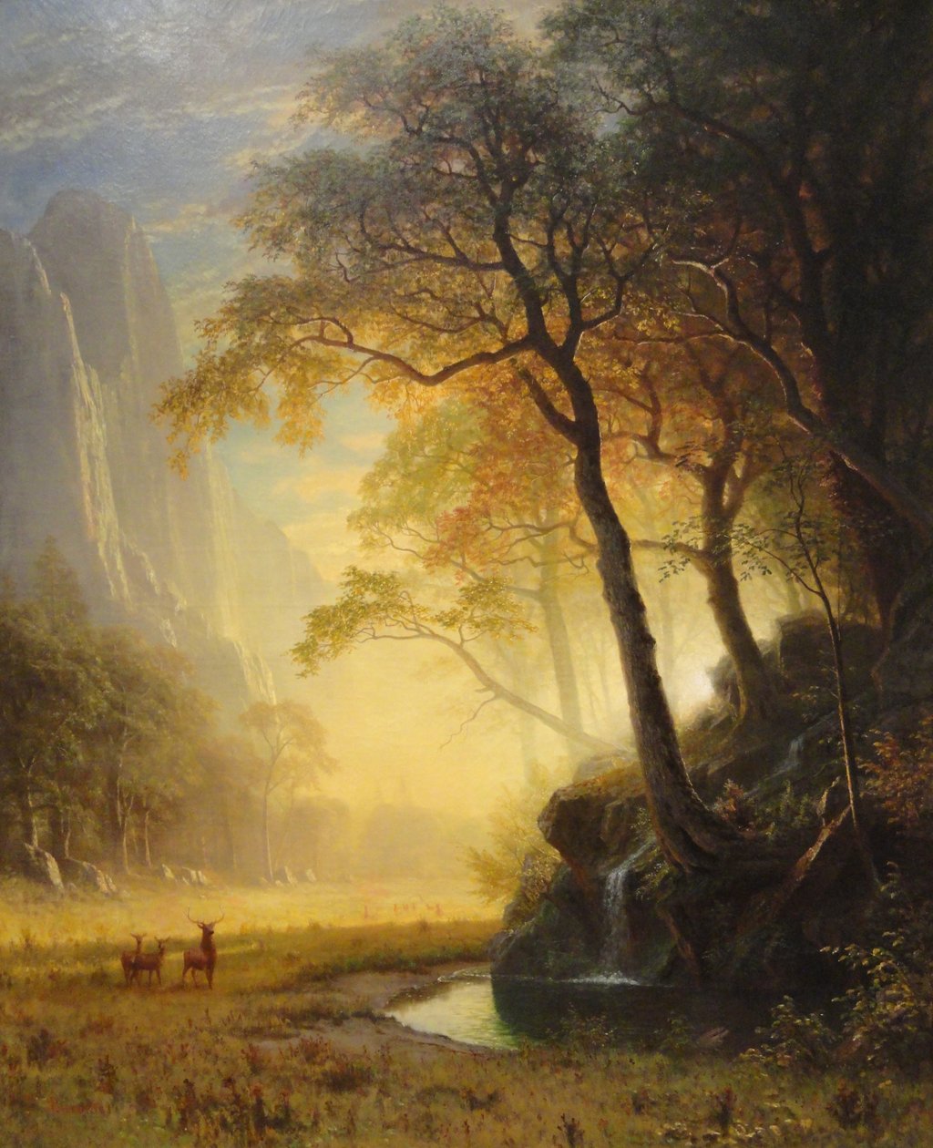 Hetch Hetchy Canyon door Albert Bierstadt