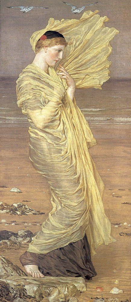 Meeuwen door Albert Joseph Moore
