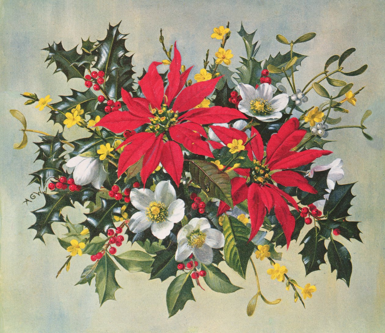 Kerstbloemen door Albert Williams