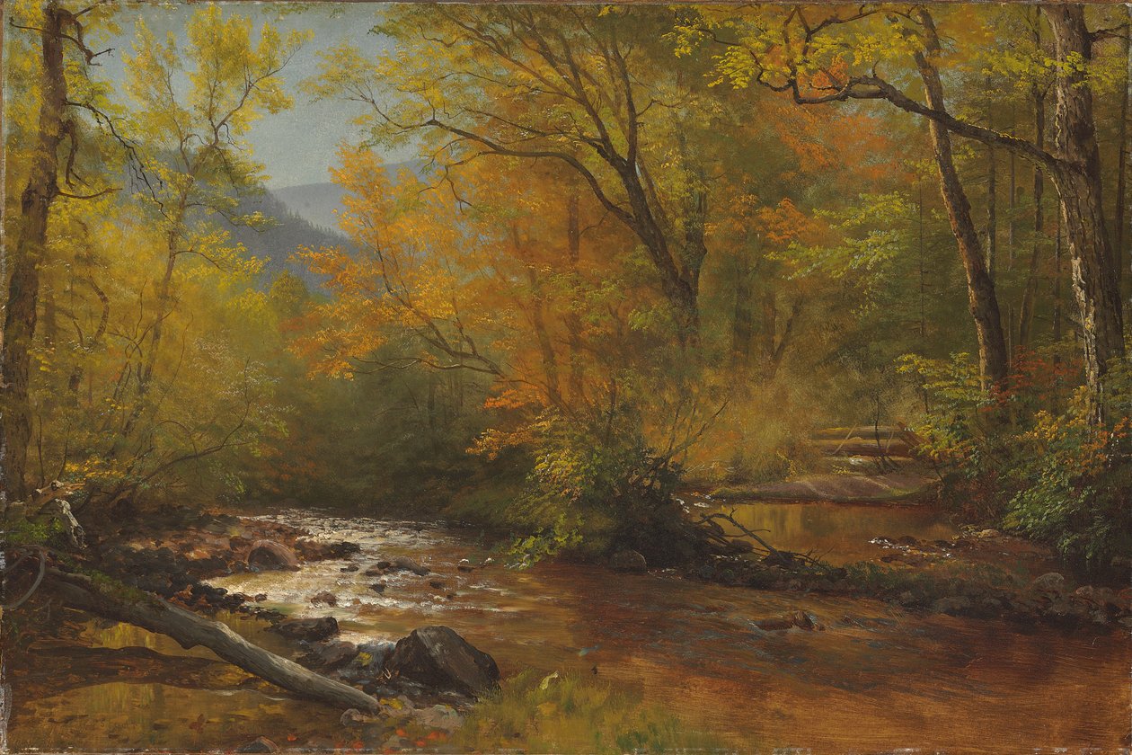 Beek in het bos door Albert Bierstadt