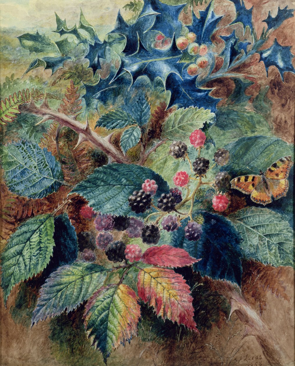 Braambessen en hulst met een vlinder door Albert Durer Lucas