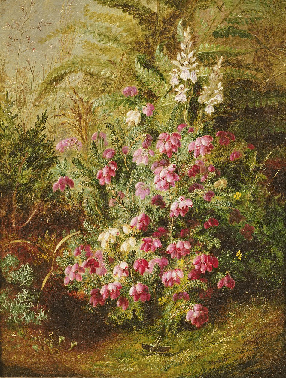 Sprinkhaan en Heide door Albert Durer Lucas