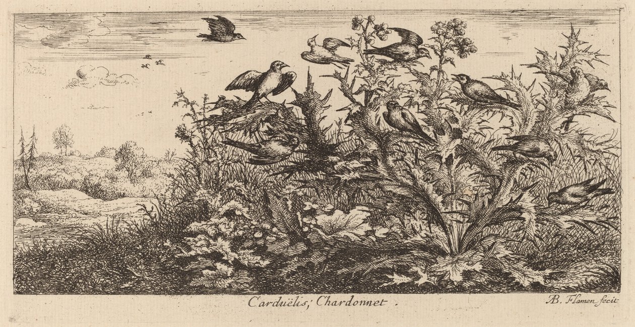 Carduelis, De Putter door Albert Flamen