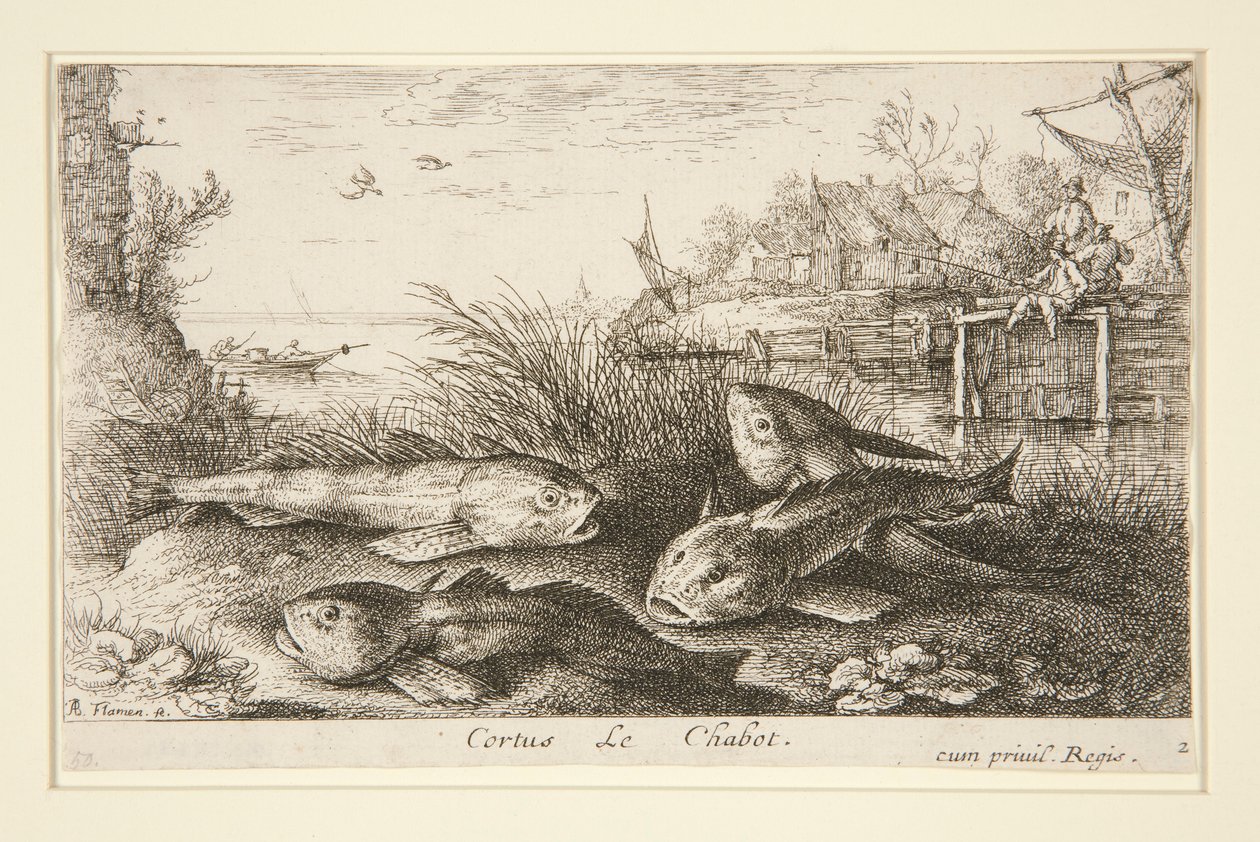 Cortus, Le Chabot door Albert Flamen