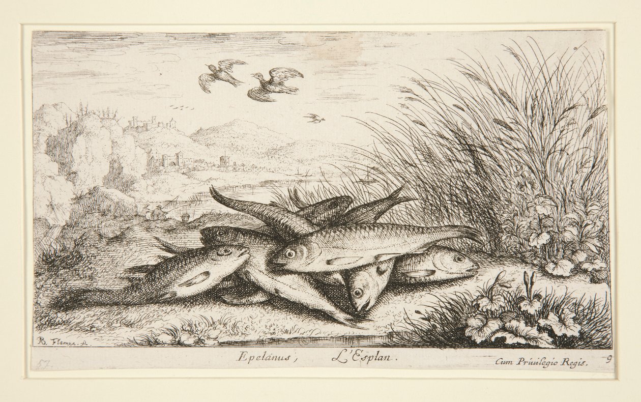 Epelanus, L door Albert Flamen