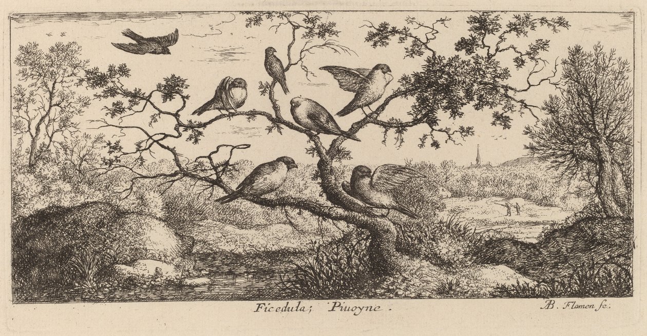 De Goudvink door Albert Flamen