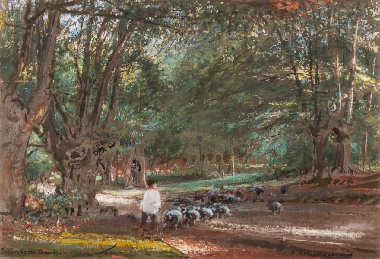 Burnham Beeches door Albert Goodwin