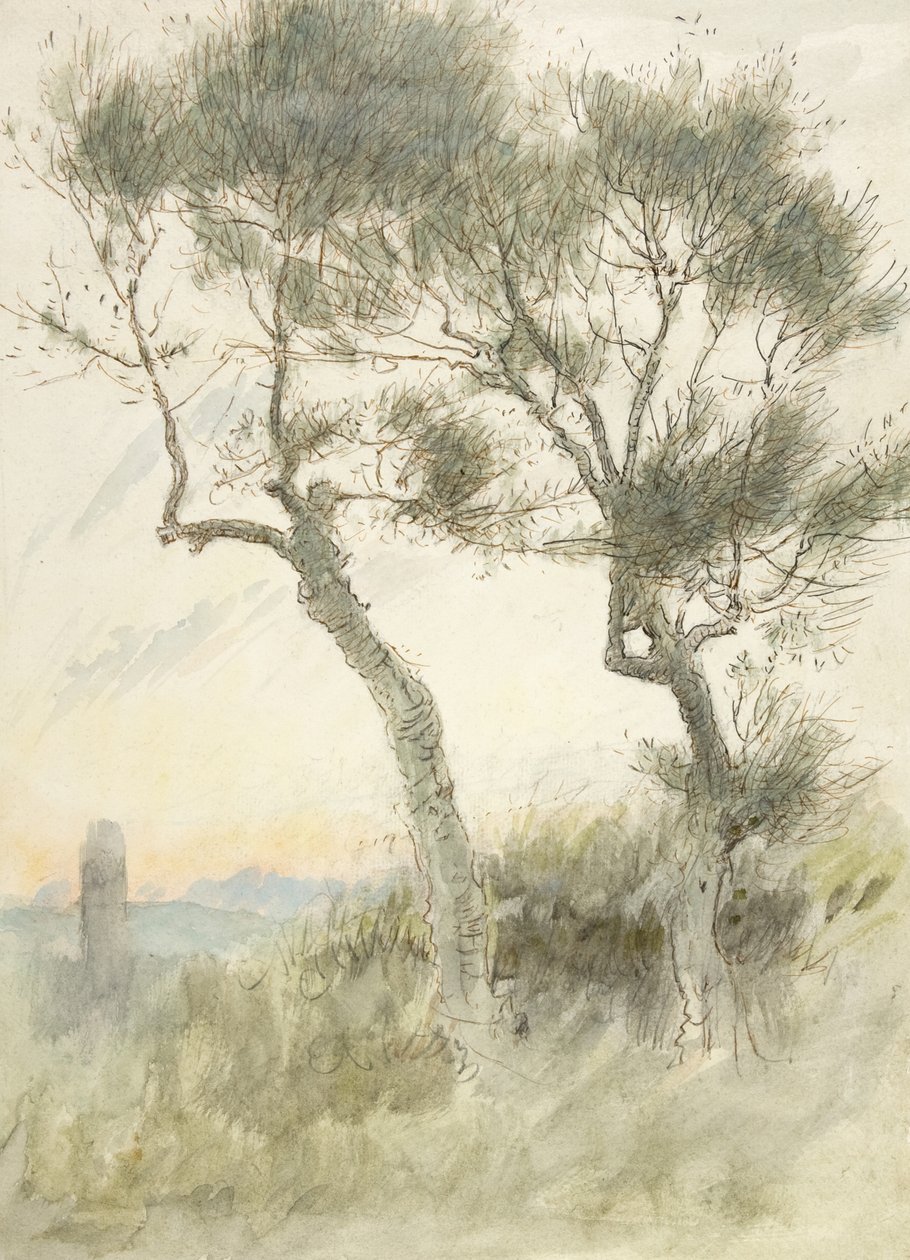 Studie van twee bomen door Albert Goodwin