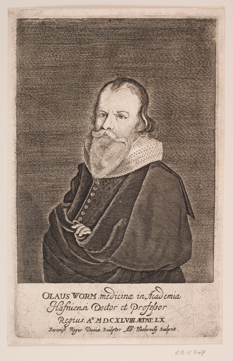 Ole Worm door Albert Haelwegh
