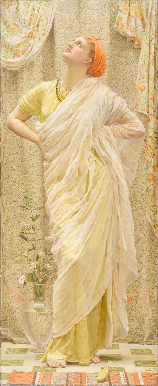 Vogels ook bekend als Kanaries door Albert Joseph Moore