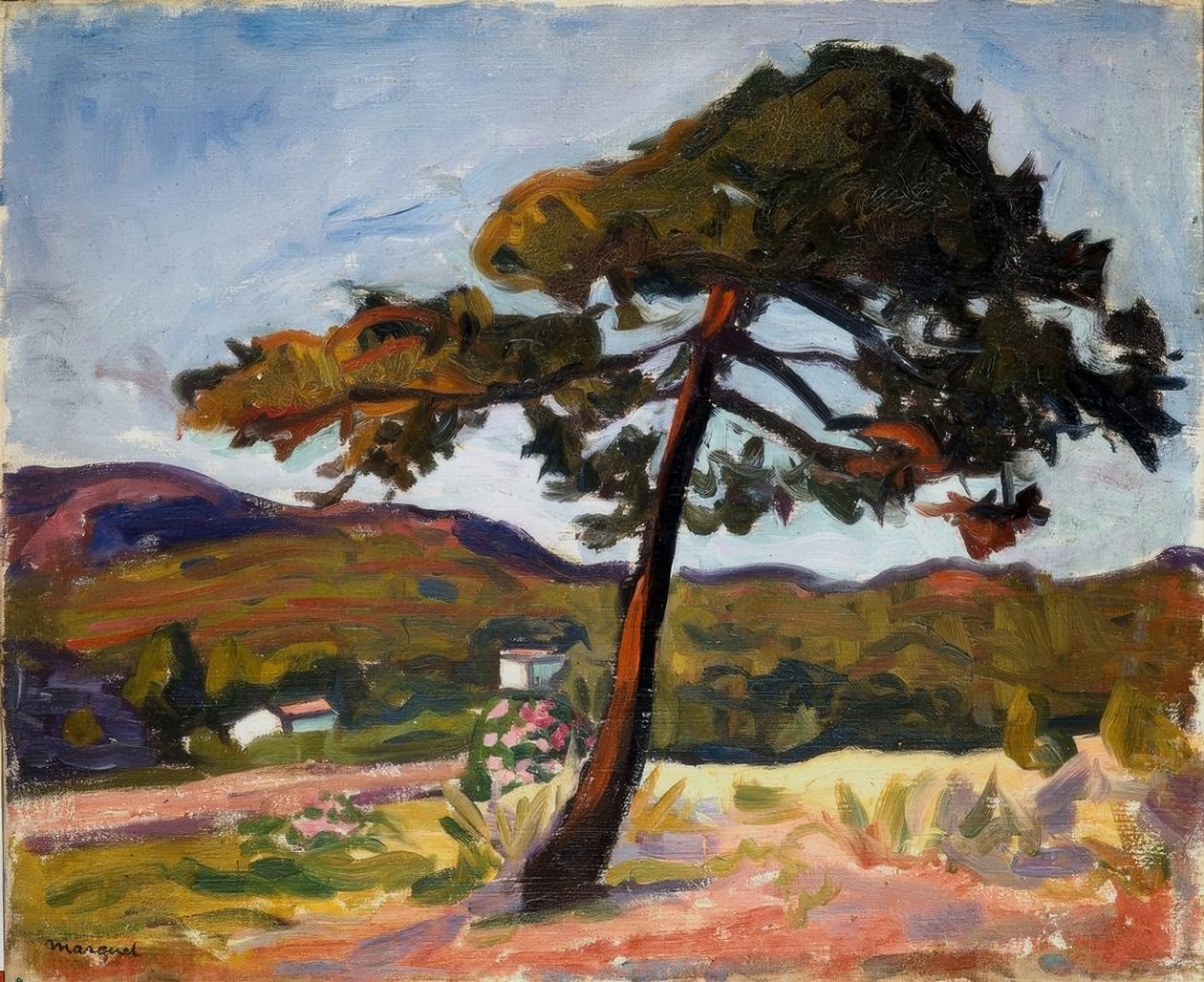 Pijnboom in St. Tropez door Albert Marquet