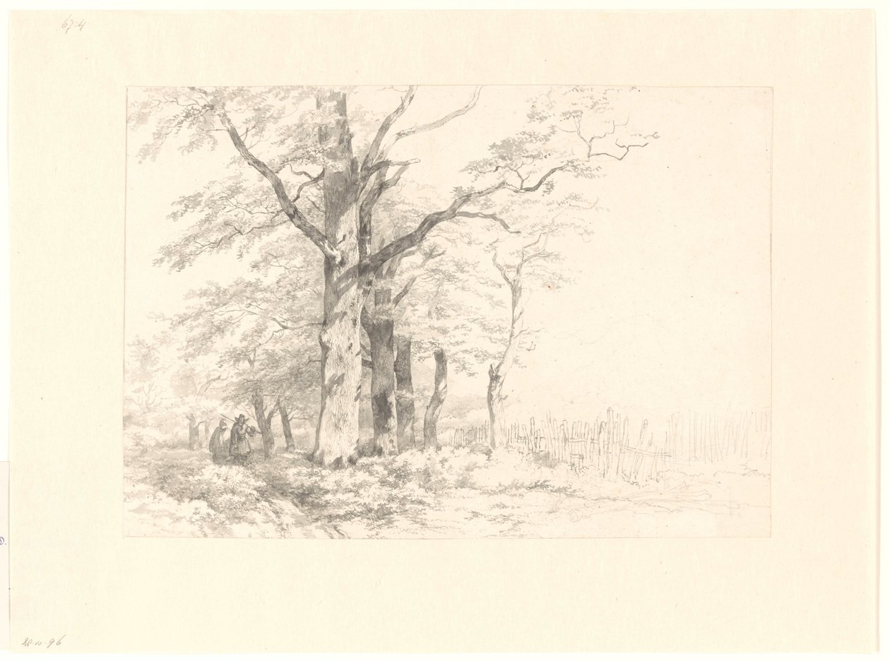 Studie van eiken in een landschap door Albertus Brondgeest