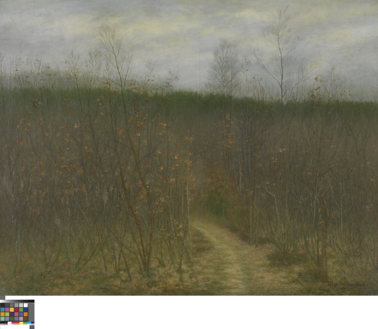 Coppice at Sint-Martens-Latem door Albijn Van den Abeele