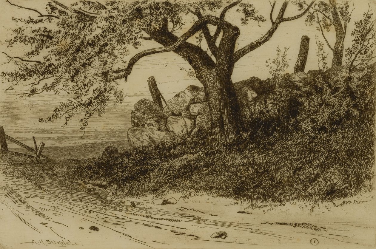 Landweg door Albion Harris Bicknell
