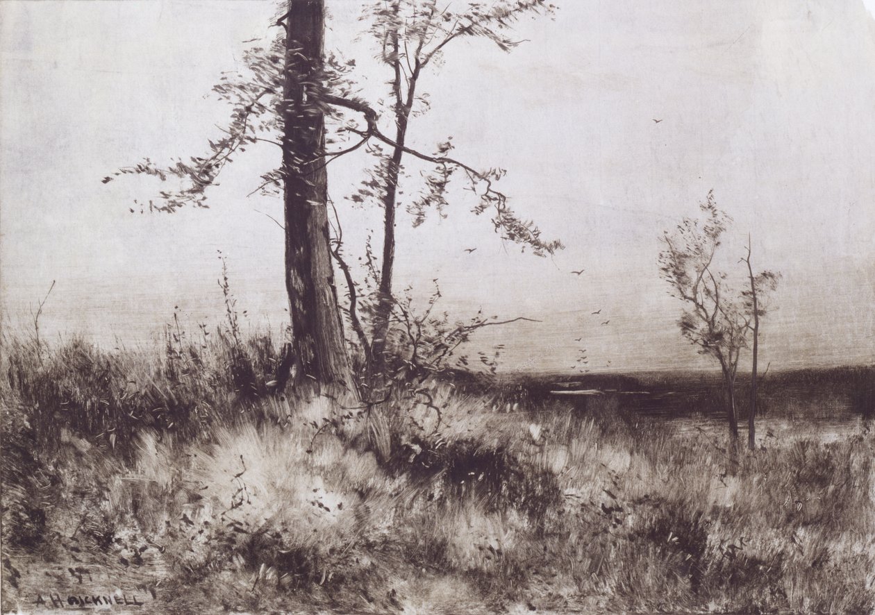 Landschap door Albion Harris Bicknell