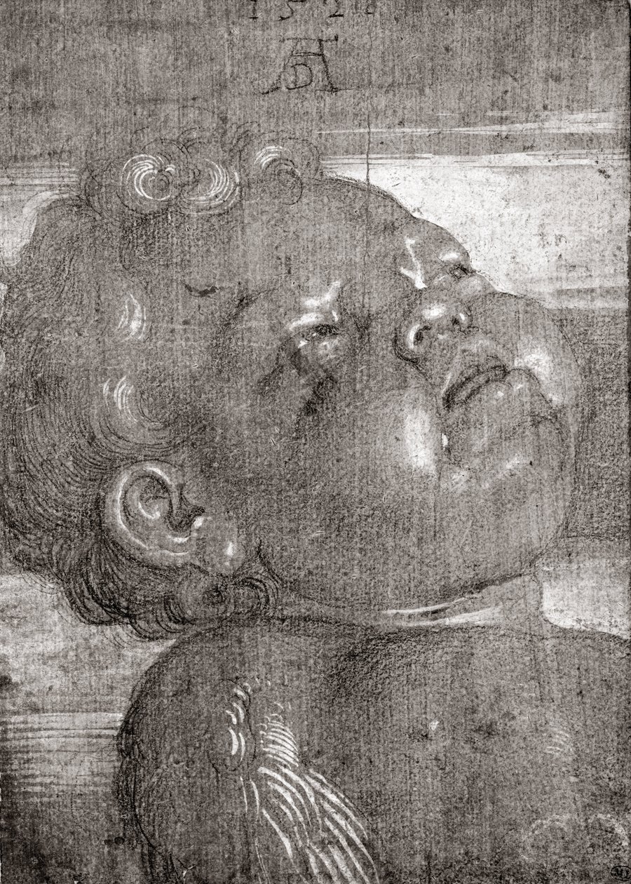 Cherubijnen Huilen door Albrecht Dürer