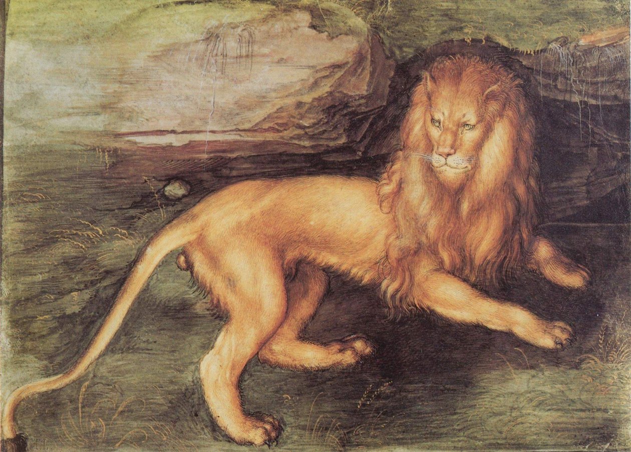 Leeuw door Albrecht Dürer