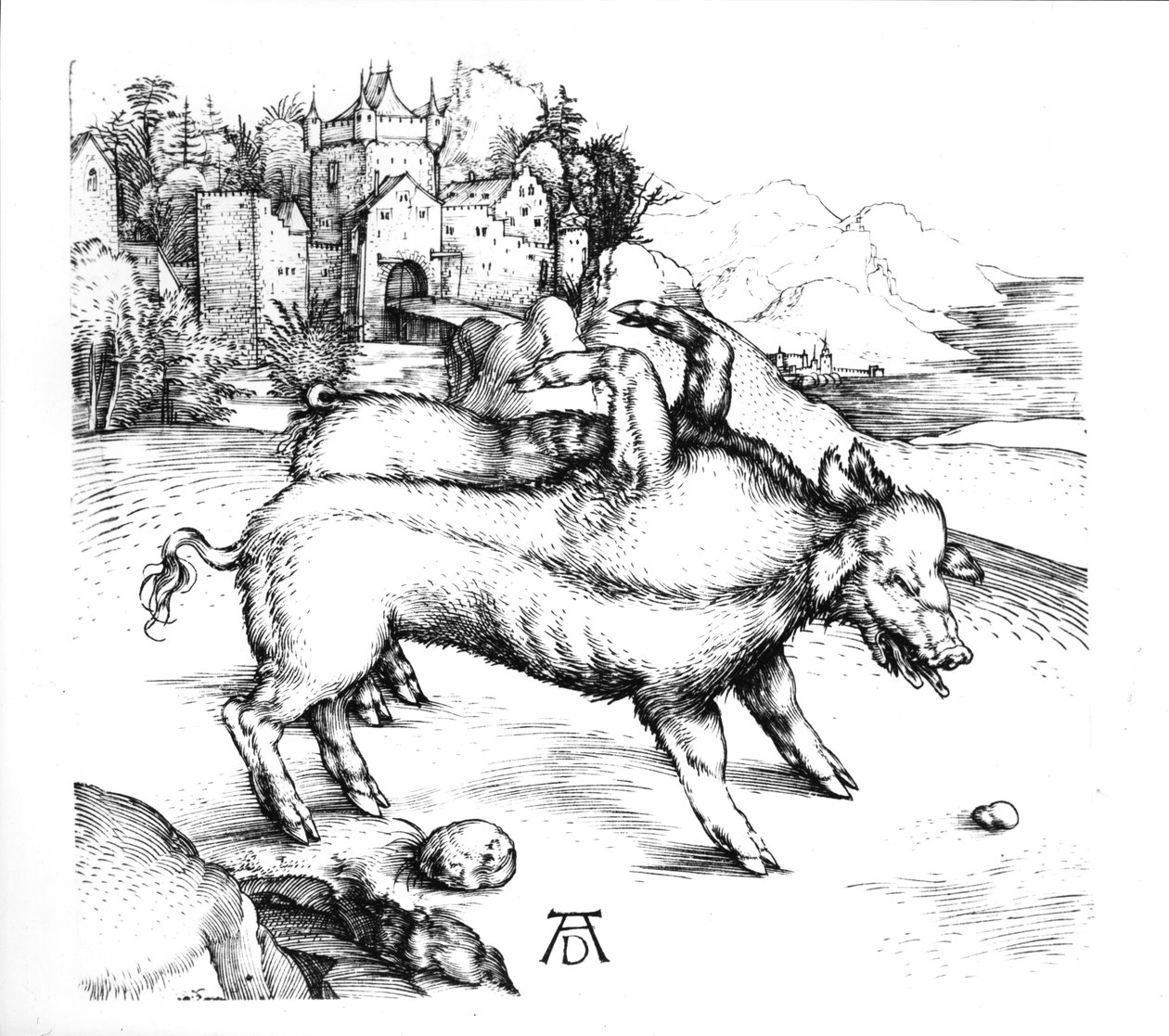 Monsterlijk Varken door Albrecht Dürer