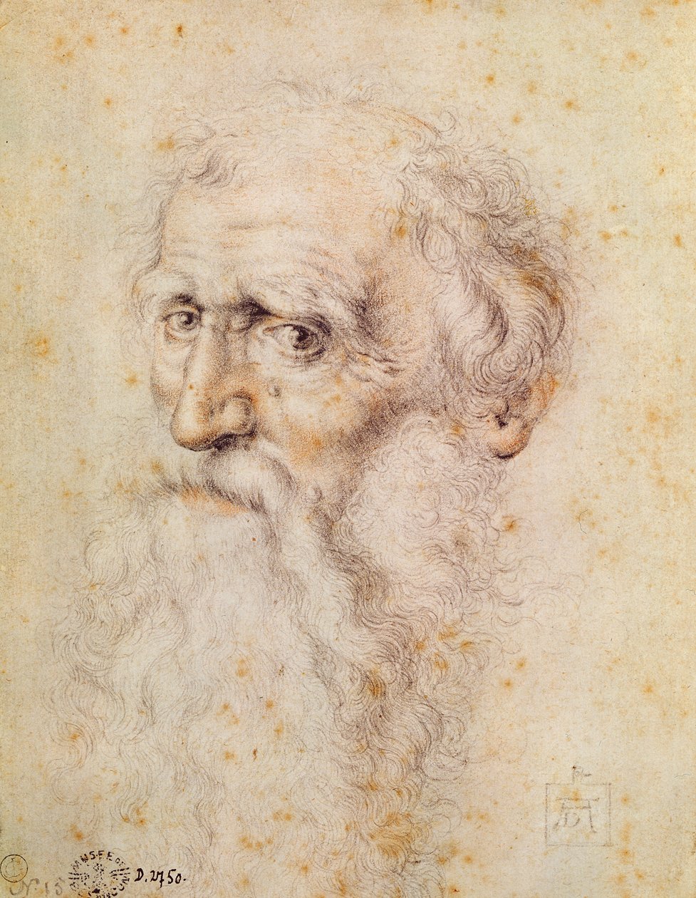 Portret van een bebaarde oude man door Albrecht Dürer