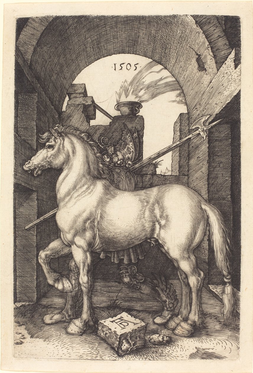 Klein paard door Albrecht Dürer