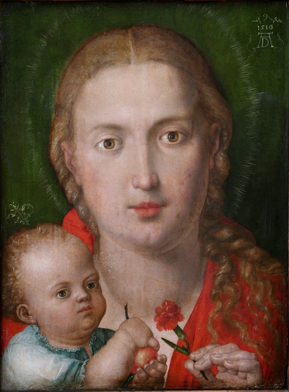 De Madonna van de anjer door Albrecht Dürer