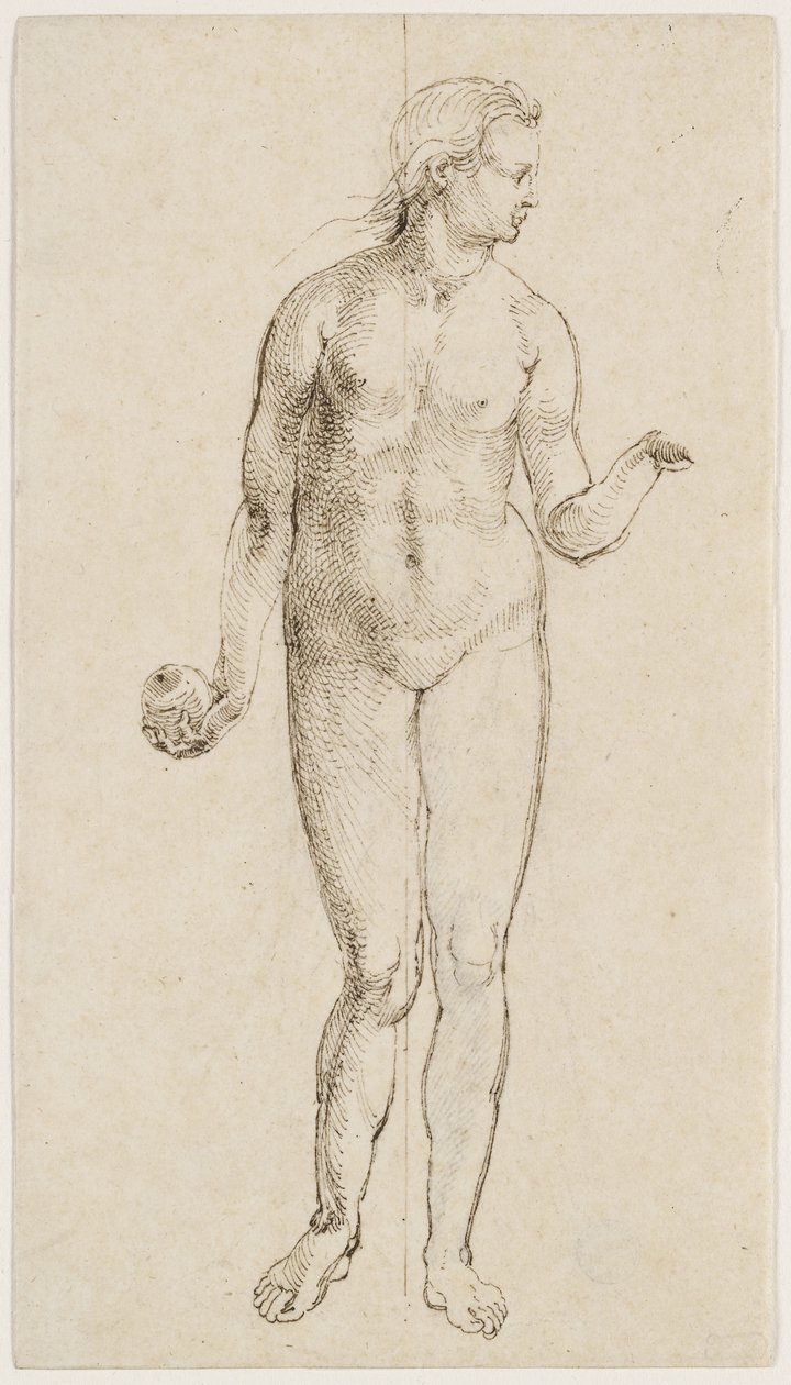 Eva door Albrecht Dürer