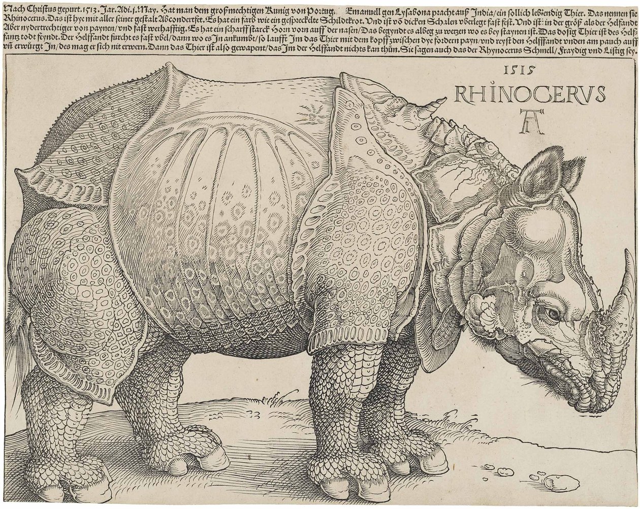 De neushoorn, 1515 door Albrecht Dürer