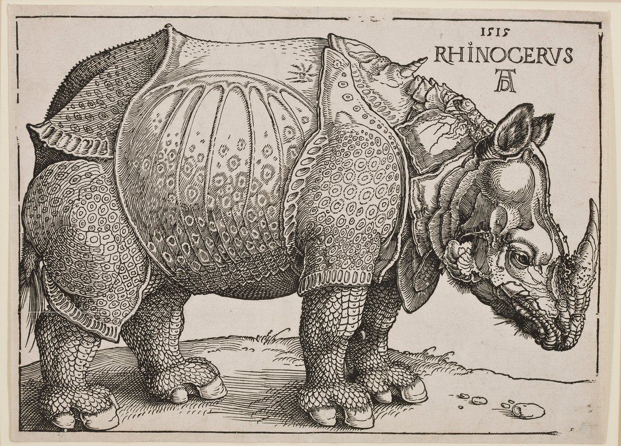 De neushoorn, 1515 door Albrecht Dürer
