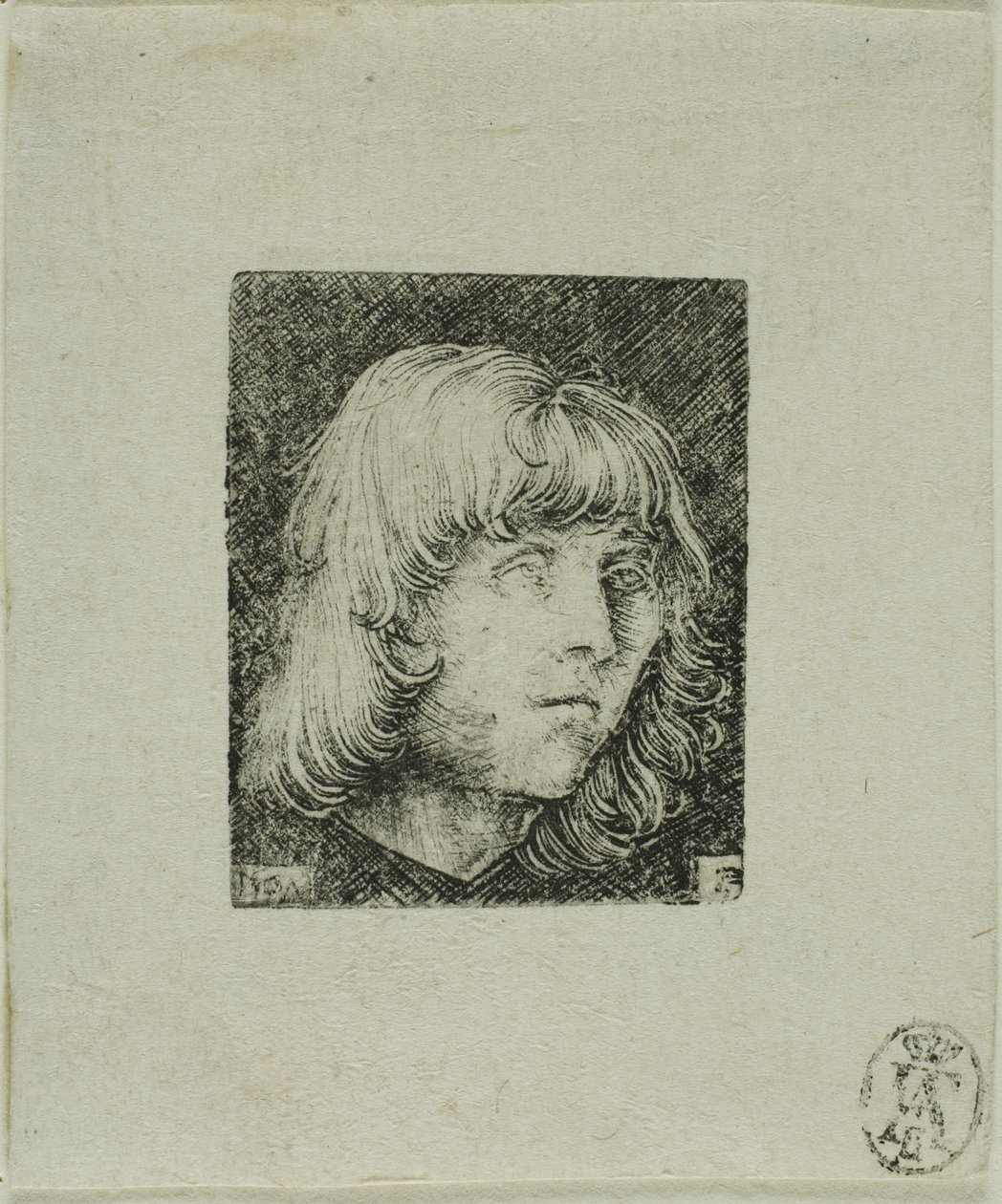 Hoofd van een Jonge Man door Albrecht Altdorfer