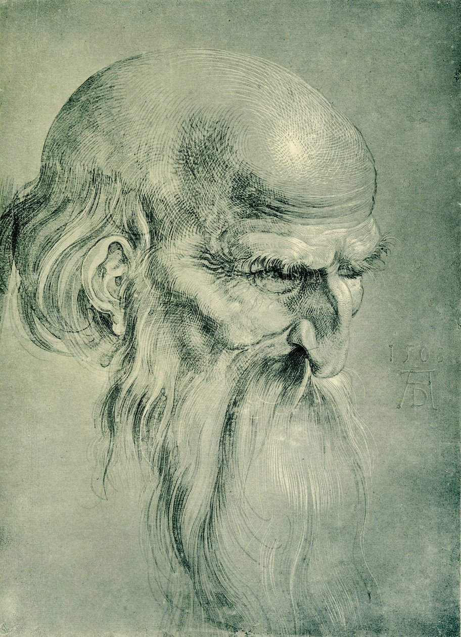 Apostelhoofd door Albrecht Dürer