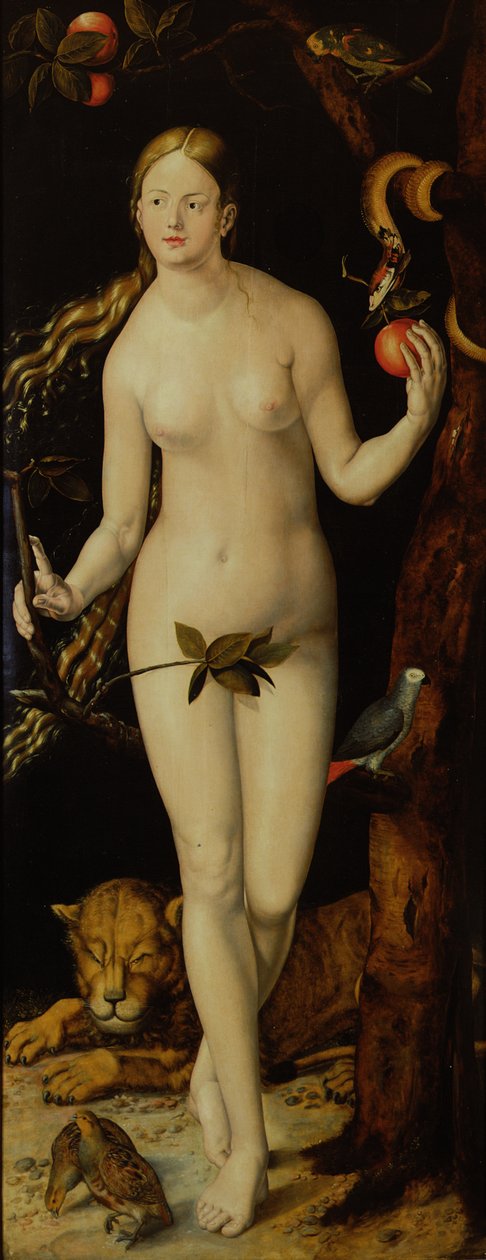 Eva door Albrecht Dürer