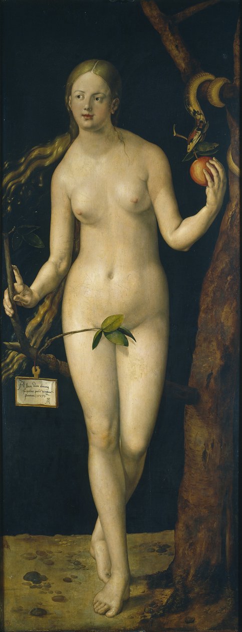 Eva, 1507 door Albrecht Dürer