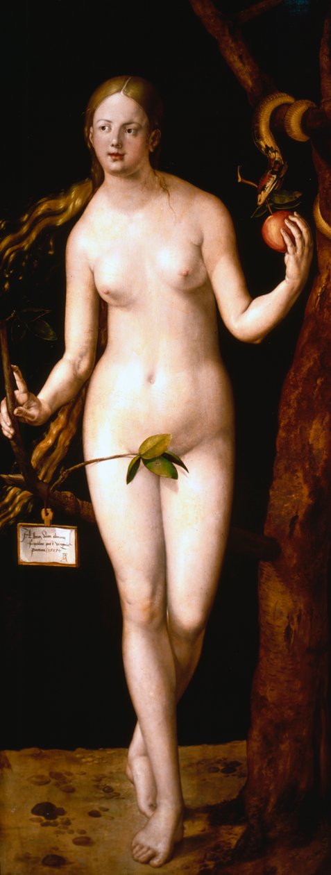 Eva, 1507 door Albrecht Dürer